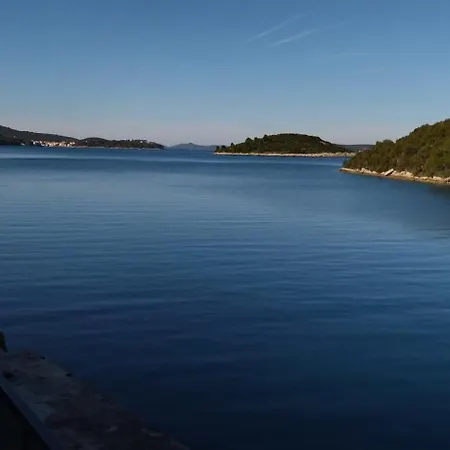 Viducic